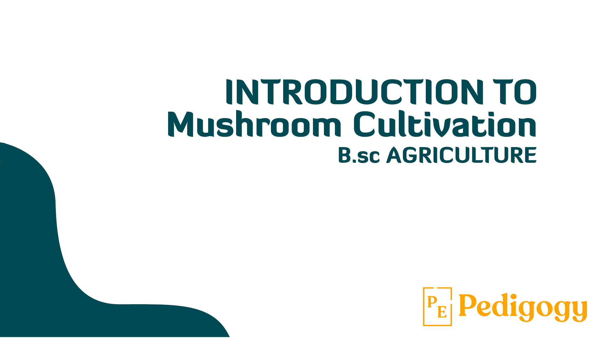Learn Mushroom Cultivation with Rahul